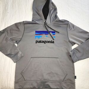 Patagonia Shop Sticker PolyCycle Hoody Feather Gray Sz L  Pullover Mens.
